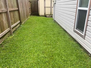 Robin C.'s grass cutting service result