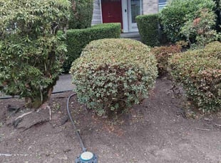 Valory M.'s Bush Trimming service result