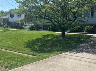 Angelique R.'s lawn care services service result