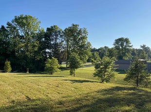 Regi C.'s grass cutting service result