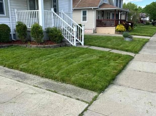 Kamal L.'s lawn service service result