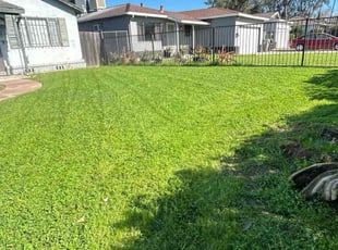 John B.'s grass maintenance service result