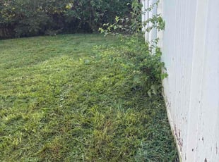 Craig B.'s turf care service result