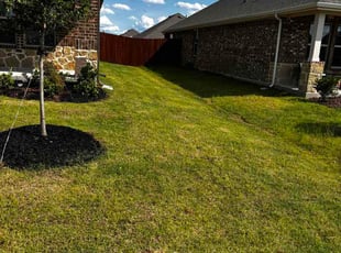 Julissa C.'s lawn service service result