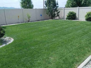 Keith B.'s turf maintenance service result