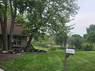 Kenny B.'s lawn care service result