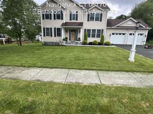 Abigail F.'s lawn care service result