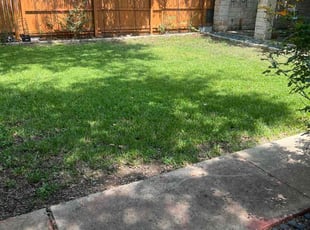 Ricky W.'s turf care service result