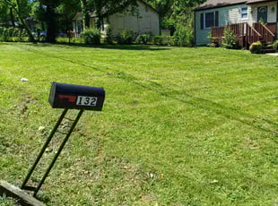 Beth M.'s turf maintenance service result