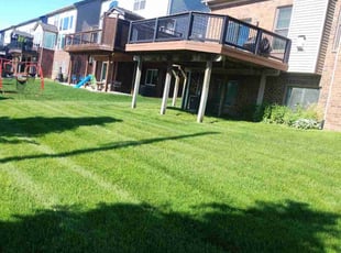 Ronald S.'s lawn care service result