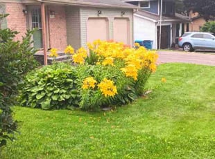 Kerstin H.'s lawn maintenance service result