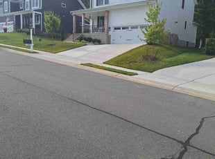 Karinne H.'s turf maintenance service result