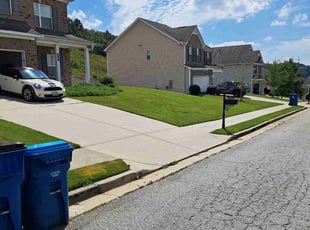 Sameer P.'s grass cutting service result