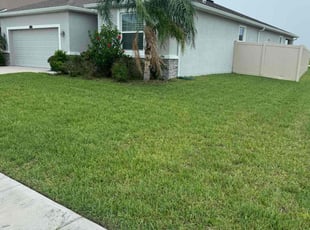 James H.'s grass maintenance service result