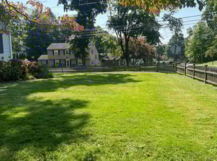 Mirella L.'s lawn maintenance service result