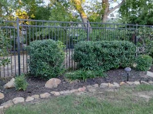 Marcella B.'s Bush Trimming service result
