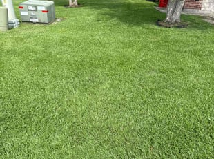Marlon R.'s grass maintenance service result