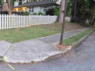 Lucrecia R.'s lawn care service result