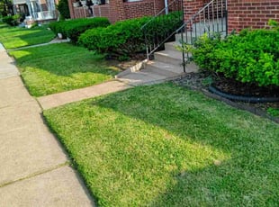 ryan b.'s lawn care services service result