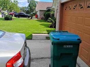 Ada M.'s grass maintenance service result