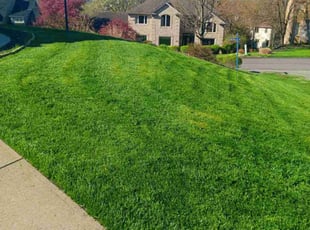 Joseph M.'s lawn service service result
