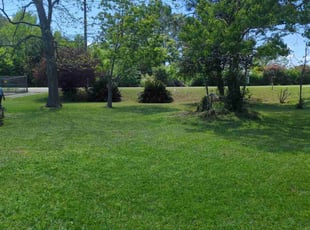 Michael H.'s lawn service service result