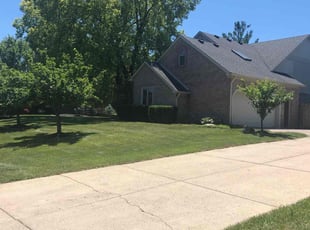 Tyler F.'s yard work service result