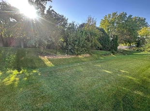 Sandra A.'s grass maintenance service result