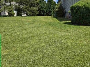 Court E.'s lawn care service result