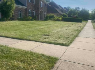 Bessie E.'s turf care service result
