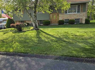 Mike K.'s lawn maintenance service result