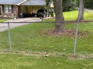 Trenace B.'s lawn service service result