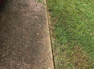 Deidre M.'s lawn service service result