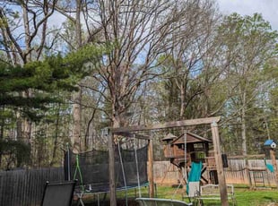 Olivia M.'s grass maintenance service result
