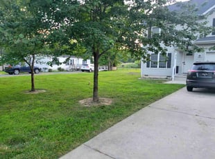 Daniel V.'s grass cutting service result