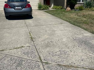 Katia R.'s Flower Bed Weeding service result