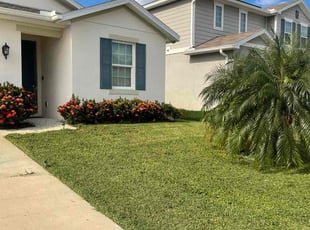 James P.'s lawn service service result