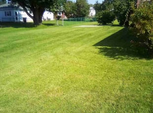 Matthew U.'s turf maintenance service result