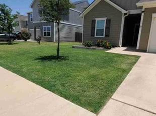 Jeni P.'s lawn maintenance service result