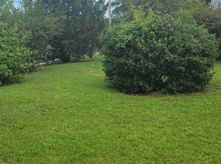 Xavier M.'s turf maintenance service result