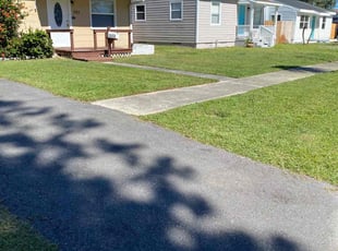 Lenora C.'s turf maintenance service result