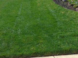 Margaret W.'s lawn maintenance service result