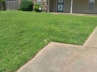 Harold B.'s lawn care service result