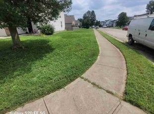 Jerry J.'s lawn care services service result