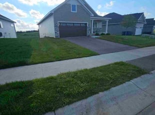 Tom M.'s lawn service service result