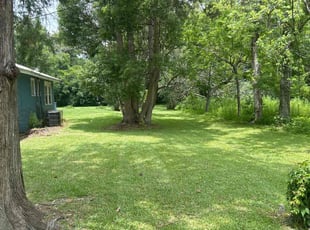Carolyn L.'s lawn maintenance service result