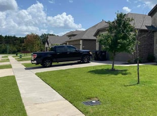 Natasha V.'s lawn service service result