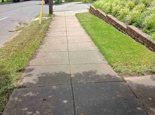 Reyna P.'s Long Grass Cleanup service result