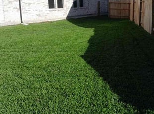 Joshua D.'s lawn care services service result