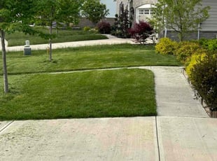 Mel M.'s lawn service service result